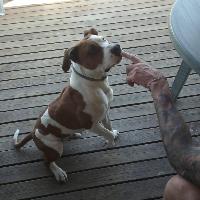 ciccio