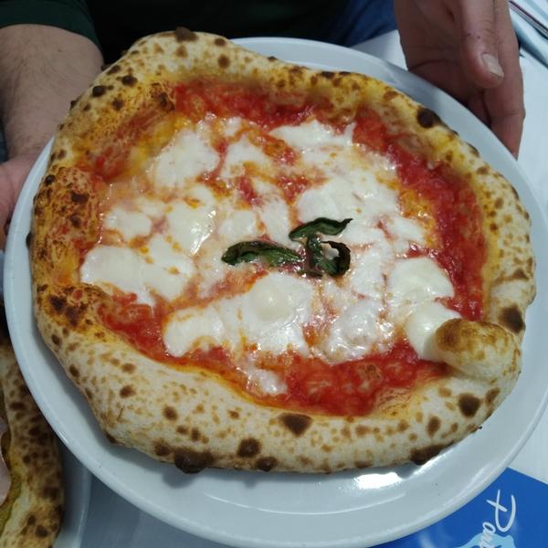 enrico