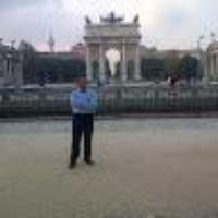 david