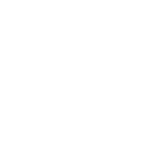 vik