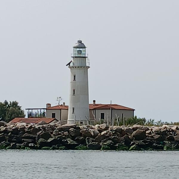 pier luigi