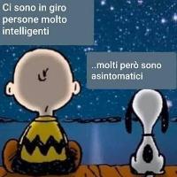mirko