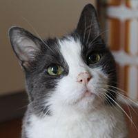 carmela