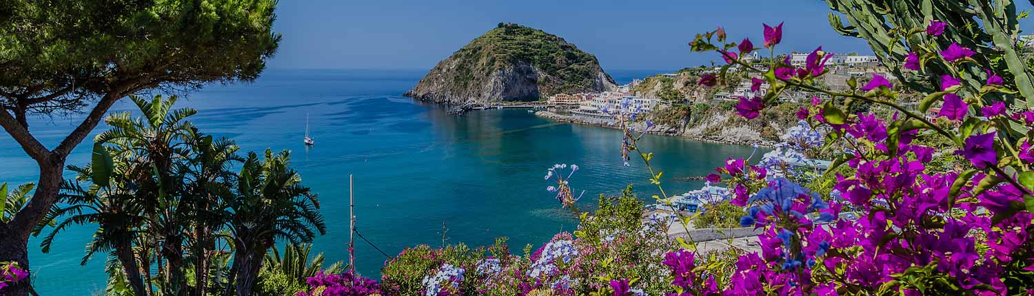 Ischia - Bouganvillea