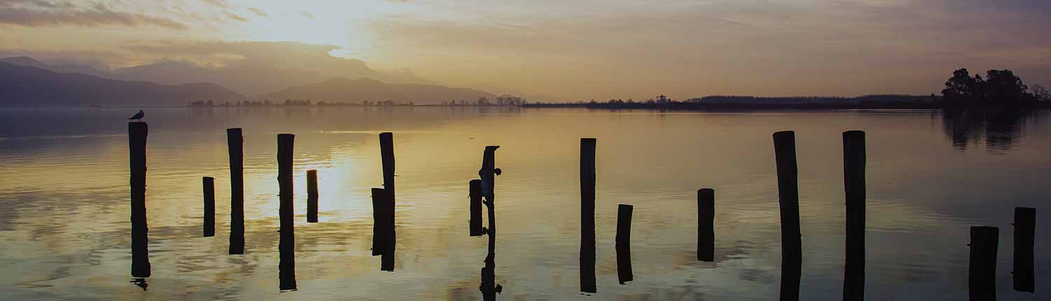 Viareggio - Torre del Lago Puccini