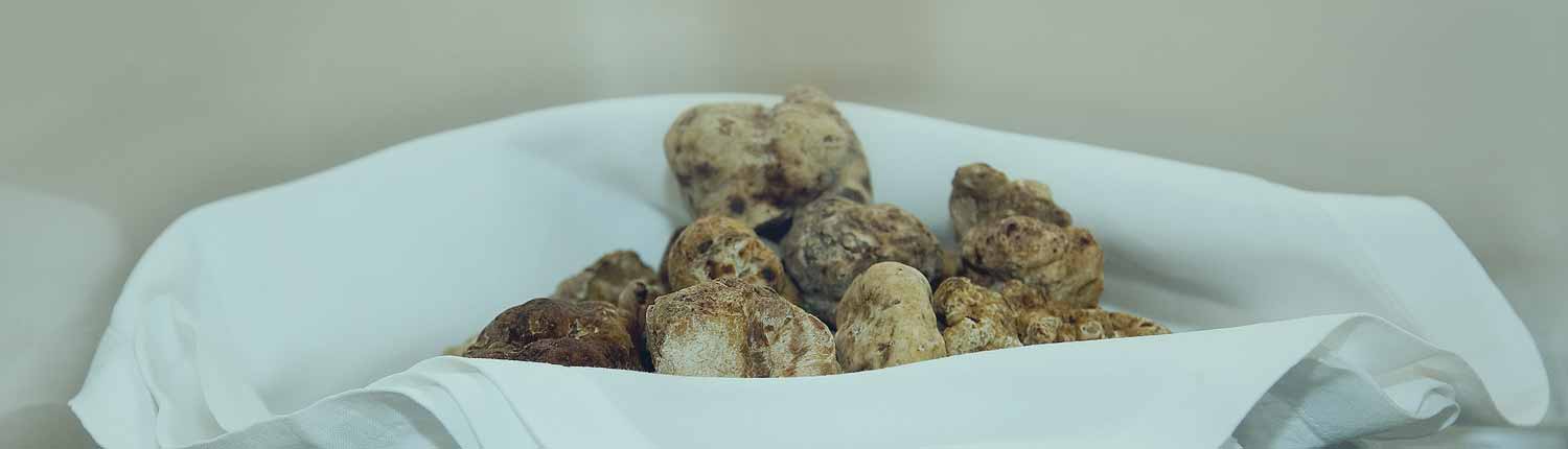 Alba - Tartufo bianco