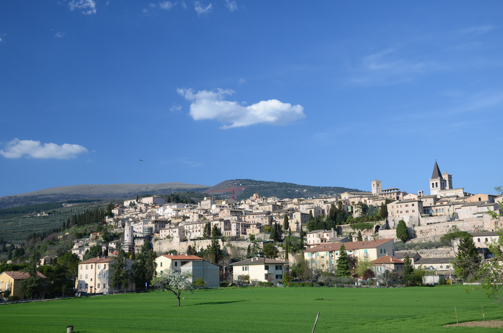 Spello - Panorama ©Fotolia