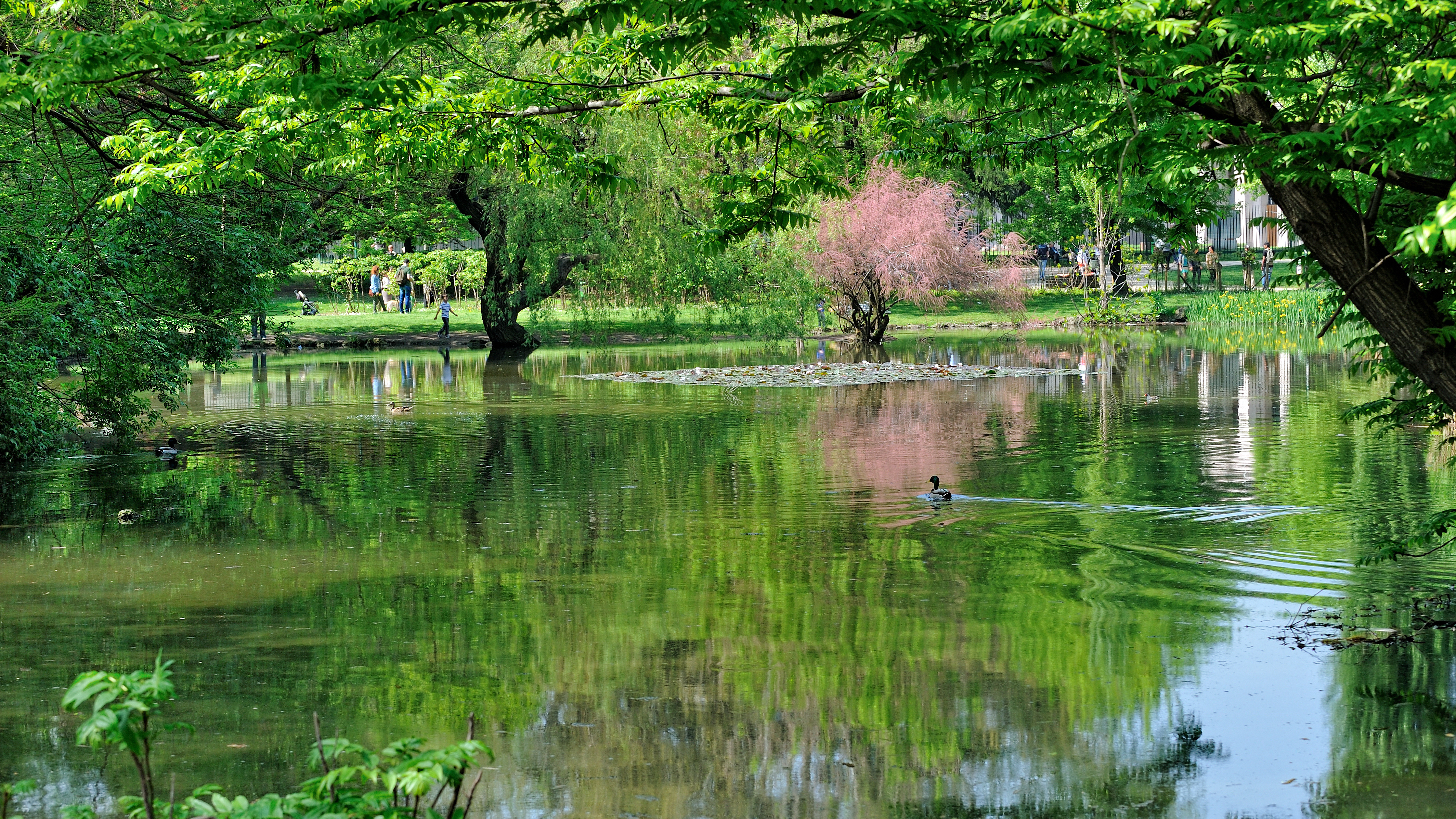 Milano - Parco Sempione - 