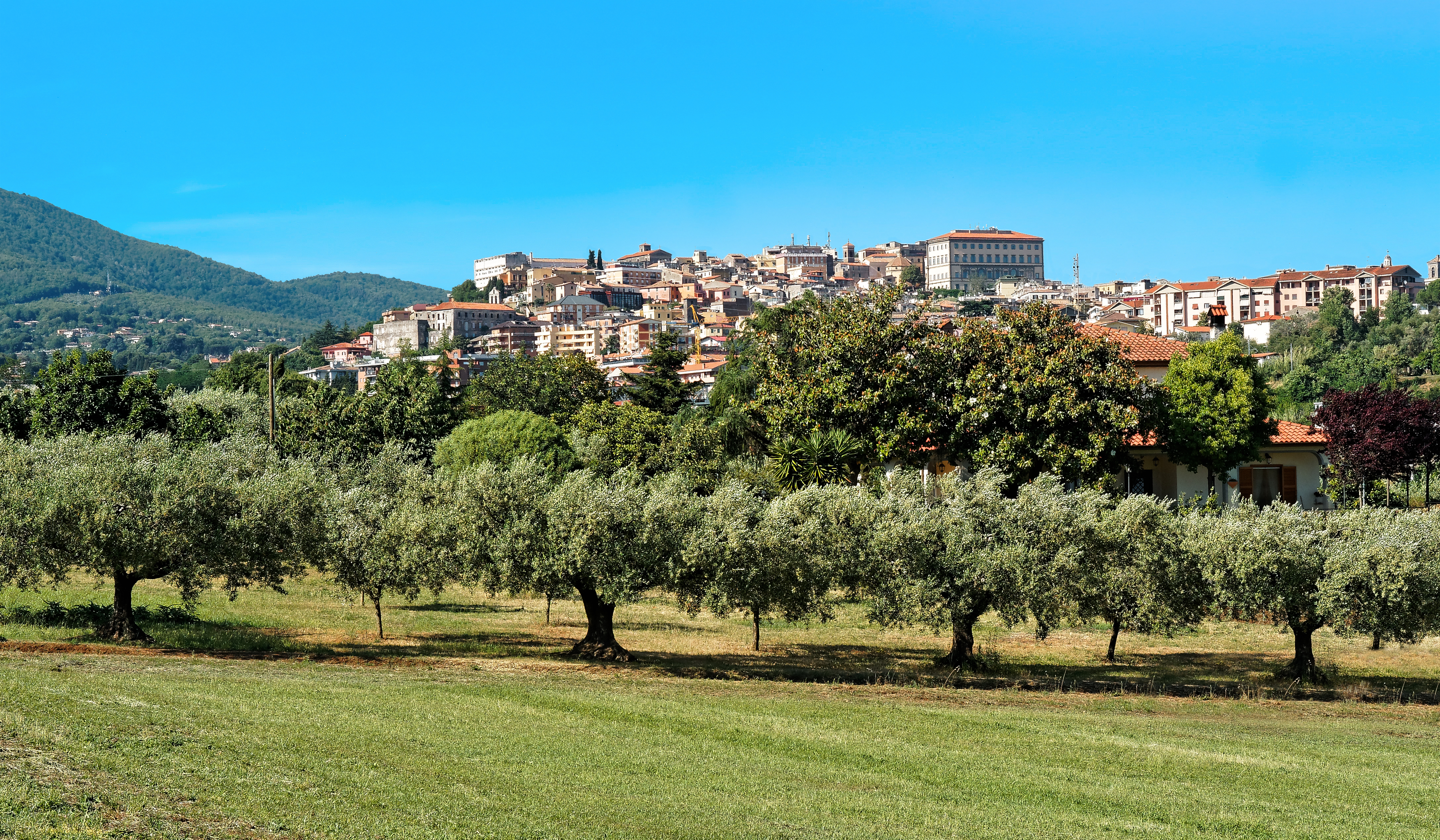 Velletri - Panorama ©