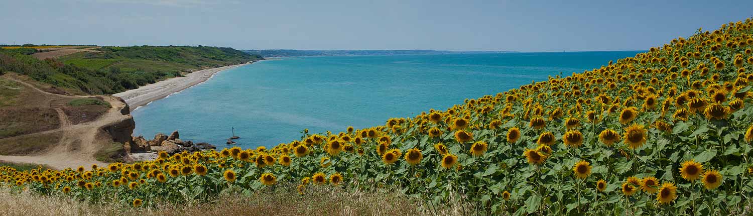 Vasto
